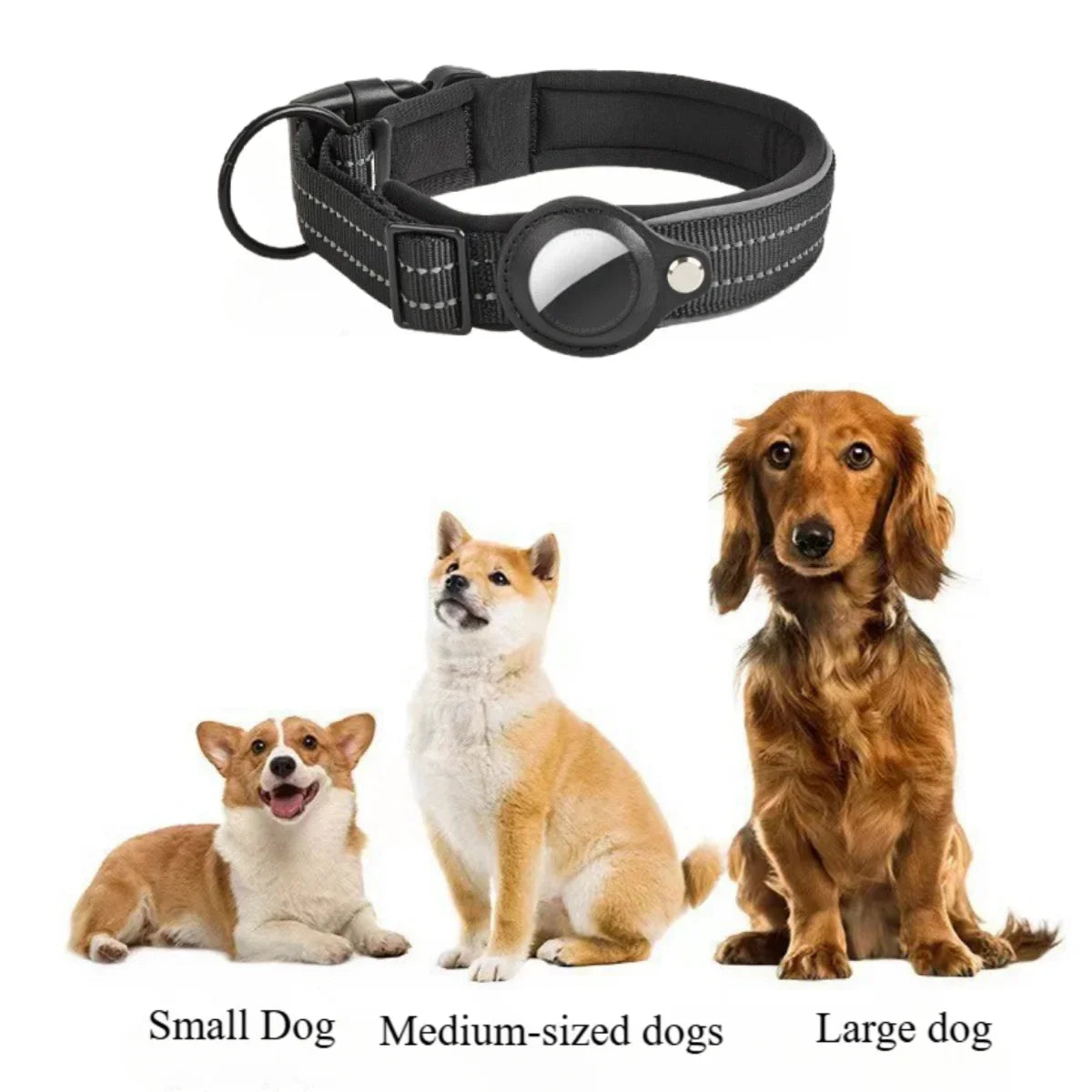 AirTag Tracking Dog Collar — Padded, Reflective, Find My Ready