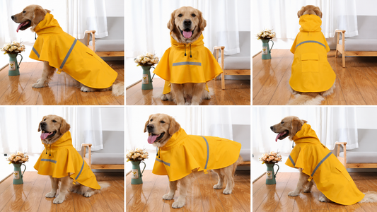 Waterproof Dog Raincoat with Reflective Hood