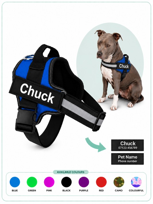 Personalised No-Pull Dog Harness with Reflective Safety Chest Strap and ID Patch