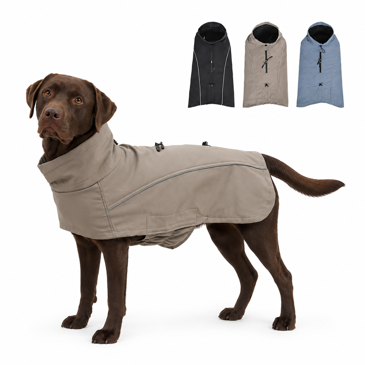 Dog wearing a beige coat with additional coats in black, gray, and blue displayed above on a white background.