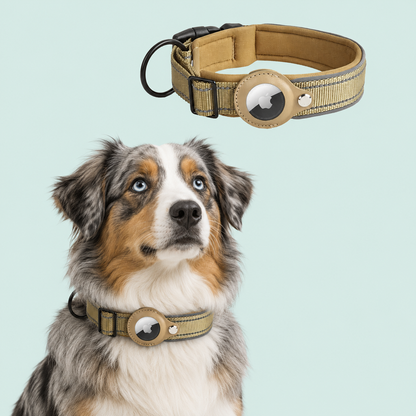 AirTag Tracking Dog Collar — Padded, Reflective, Find My Ready