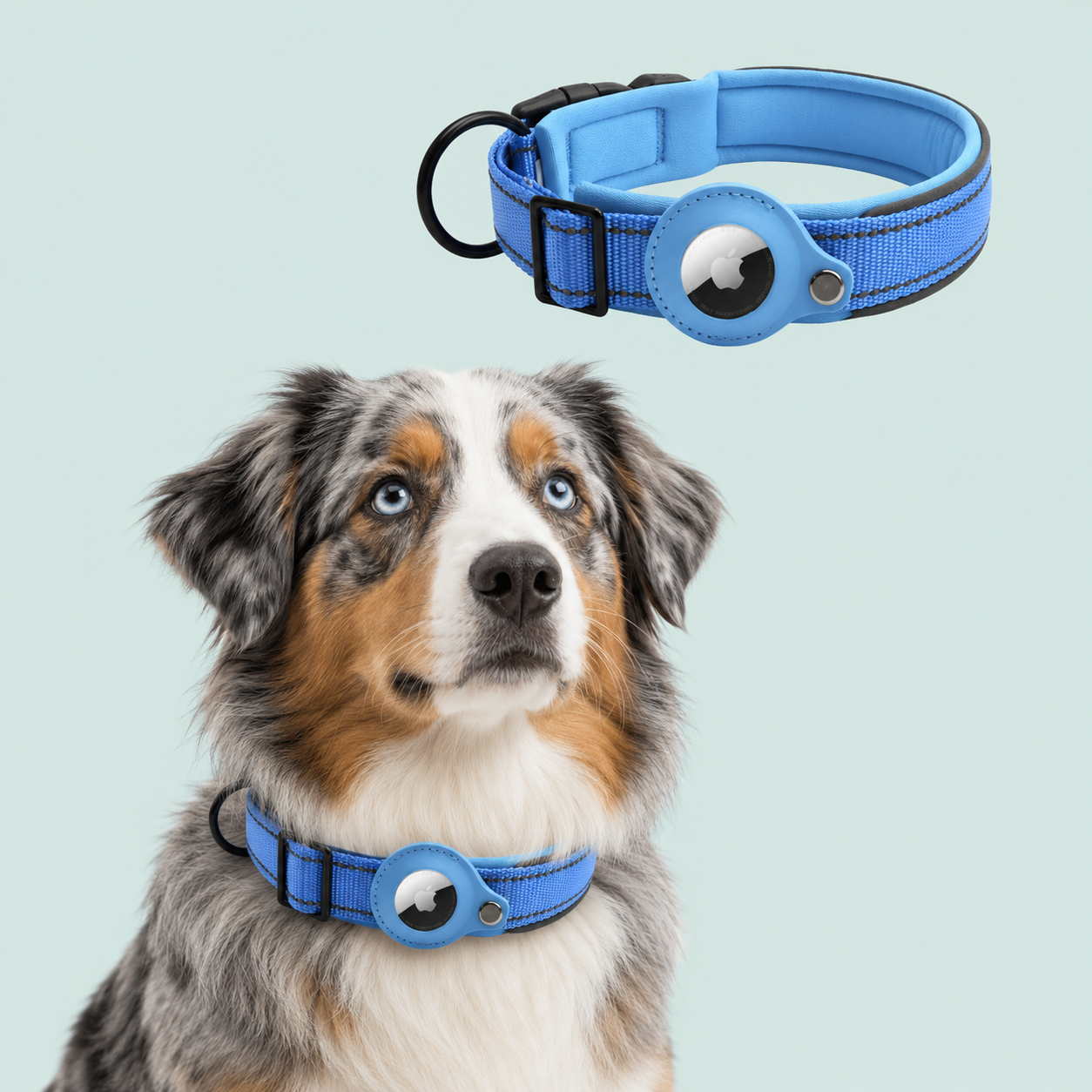 AirTag Tracking Dog Collar — Padded, Reflective, Find My Ready