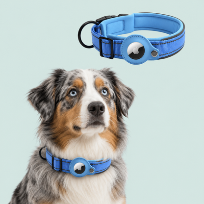 AirTag Tracking Dog Collar — Padded, Reflective, Find My Ready