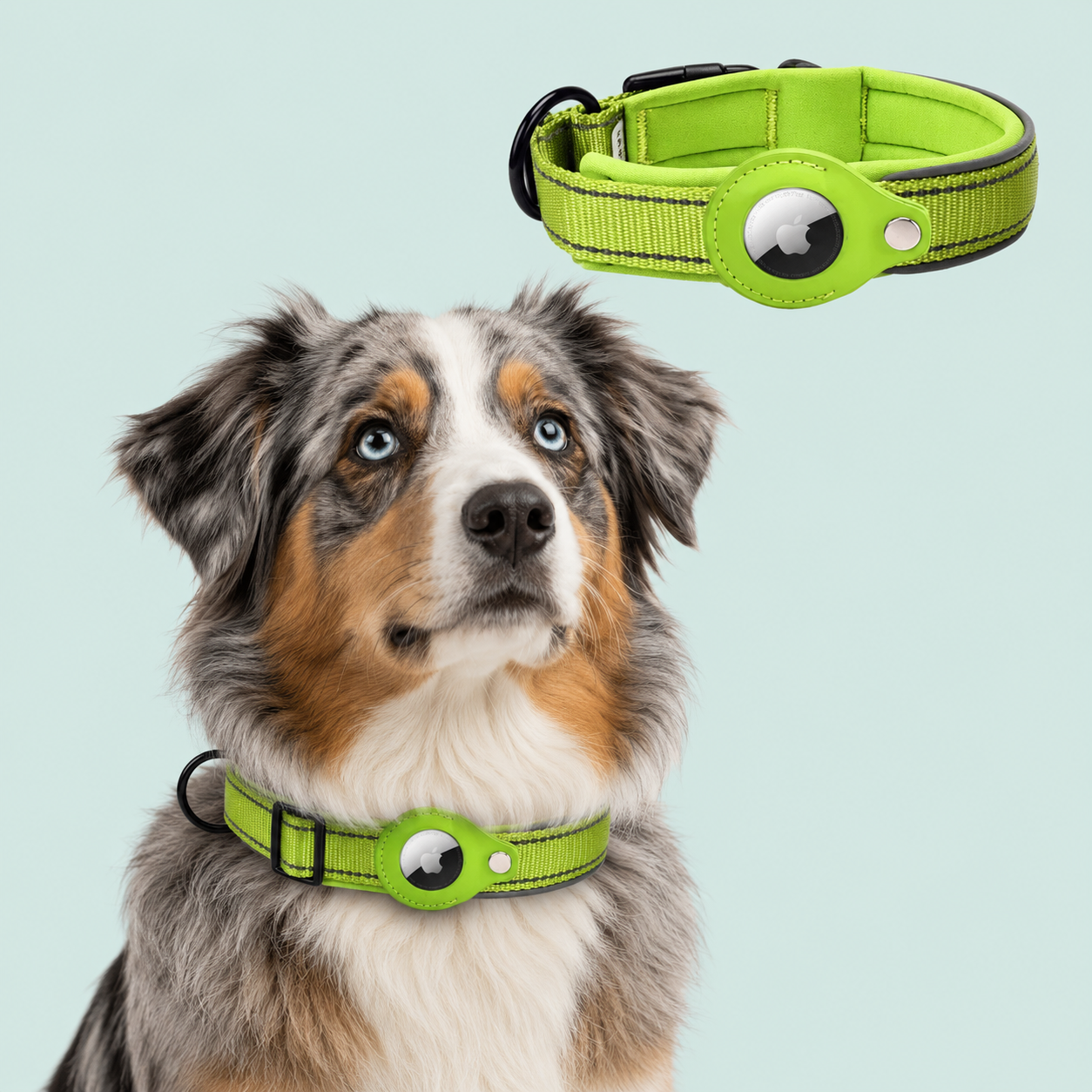 AirTag Tracking Dog Collar — Padded, Reflective, Find My Ready