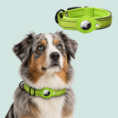 AirTag Tracking Dog Collar — Padded, Reflective, Find My Ready