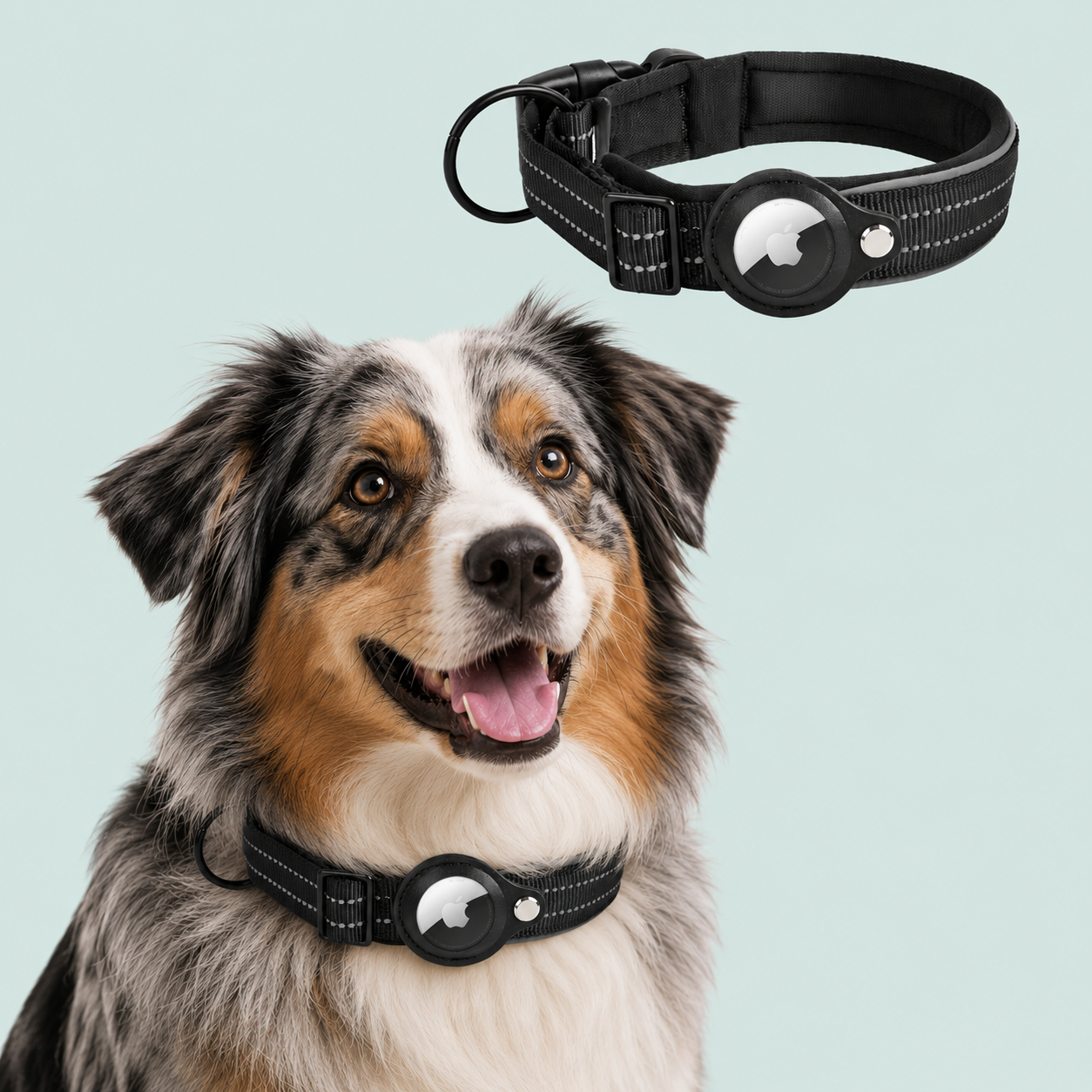 AirTag Tracking Dog Collar — Padded, Reflective, Find My Ready