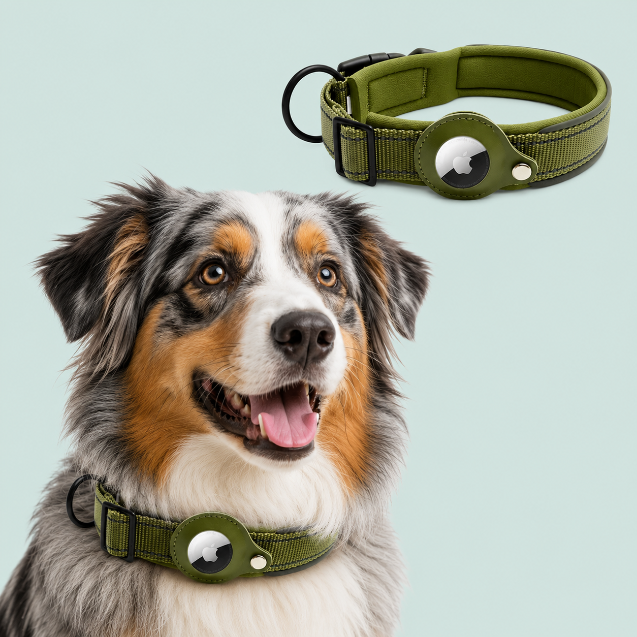 AirTag Tracking Dog Collar — Padded, Reflective, Find My Ready