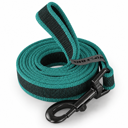 Rubber Coated Recall Training Lead & Long-Line
