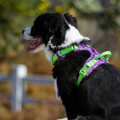 Padded Dog Harness with Reflective Mesh & Aluminium D-Ring