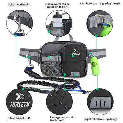 Hands-Free Dog Running Kit with Bungee Lead