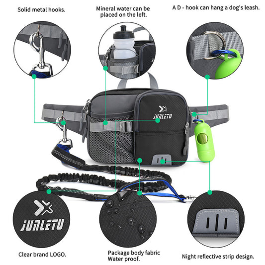 Hands-Free Dog Running Kit with Bungee Lead