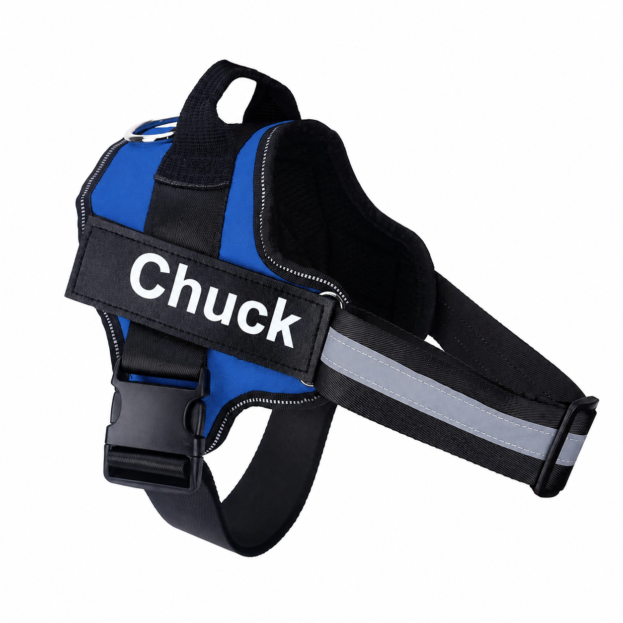 Blue and black dog harness with 'Chuck' label on a white background