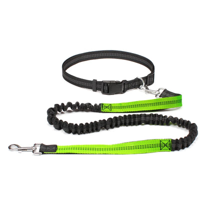 Hands-Free Bungee Dog Leash with Adjustable Waist Belt