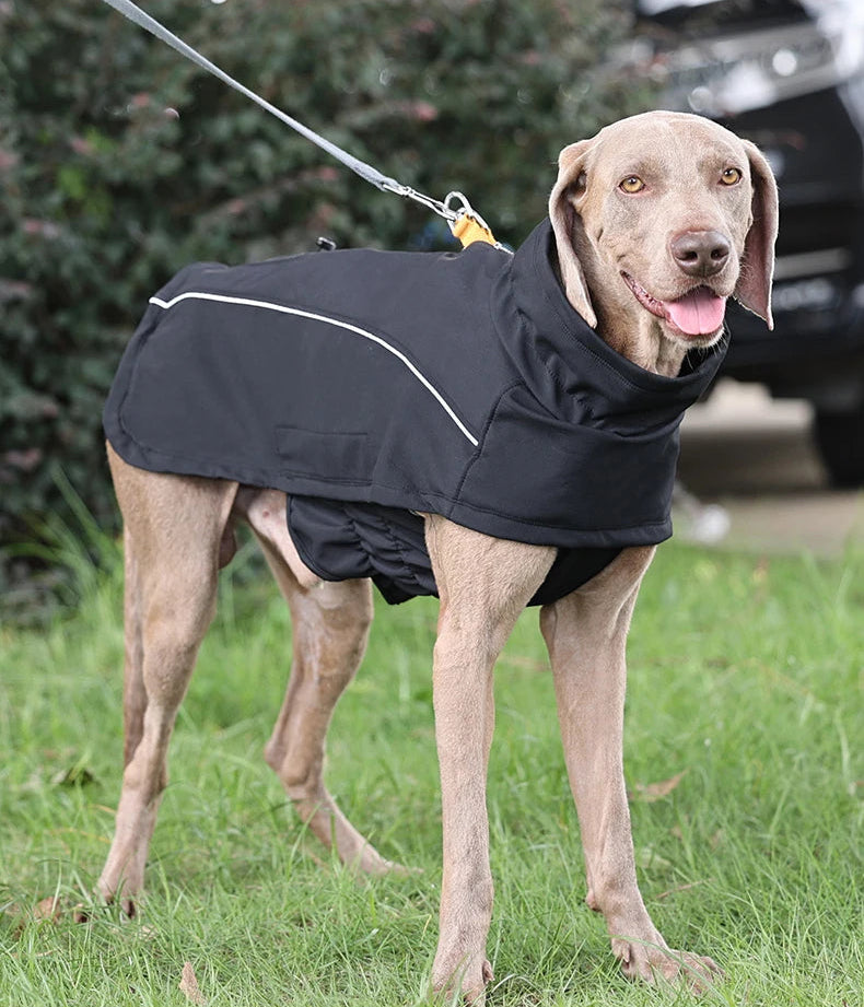 AdventureDry™ Waterproof Dog Coat | Warm Fleece-Lined Rain Jacket for Dogs