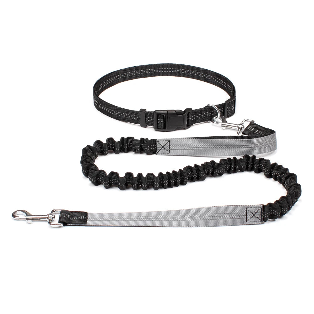Hands-Free Bungee Dog Leash with Adjustable Waist Belt