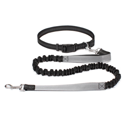 Hands-Free Bungee Dog Leash with Adjustable Waist Belt