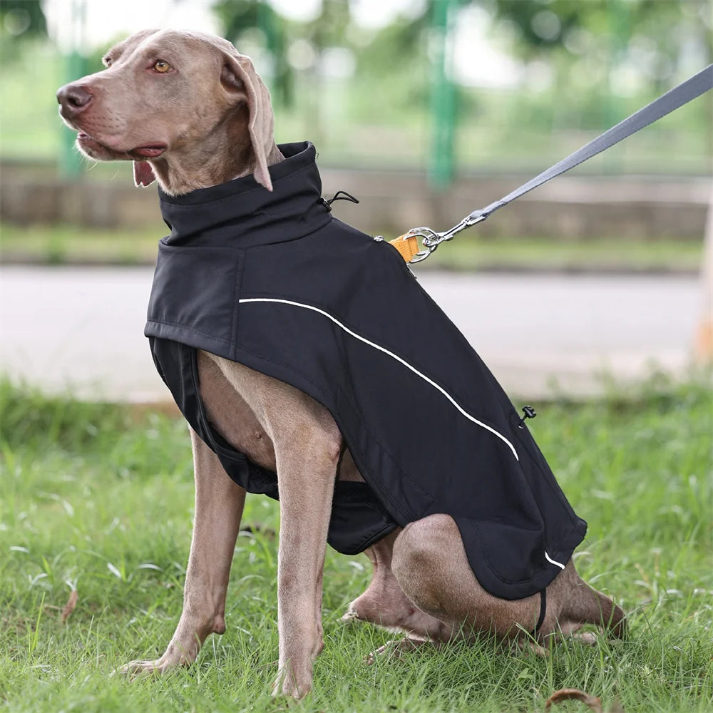 AdventureDry™ Waterproof Dog Coat | Warm Fleece-Lined Rain Jacket for Dogs