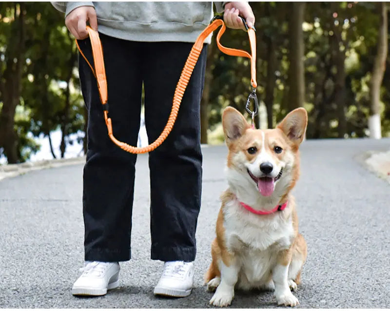 Tactical Retractable Dog Lead with Reflective Trim