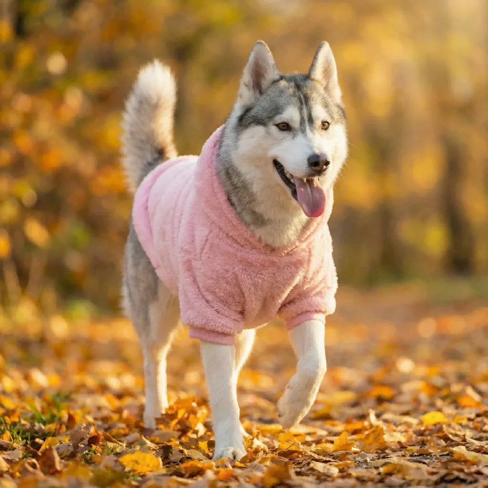 Fleece Dog Hoodie – Warm Plush Winter Coat