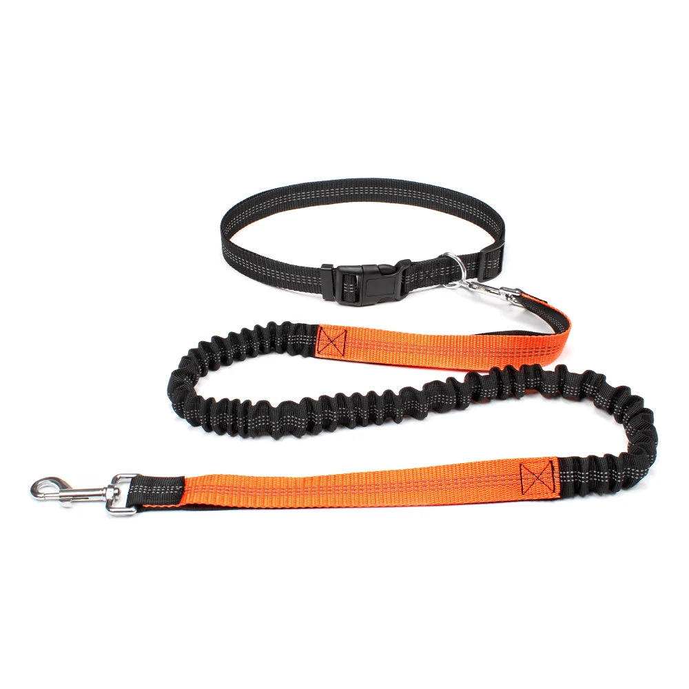 Hands-Free Bungee Dog Leash with Adjustable Waist Belt