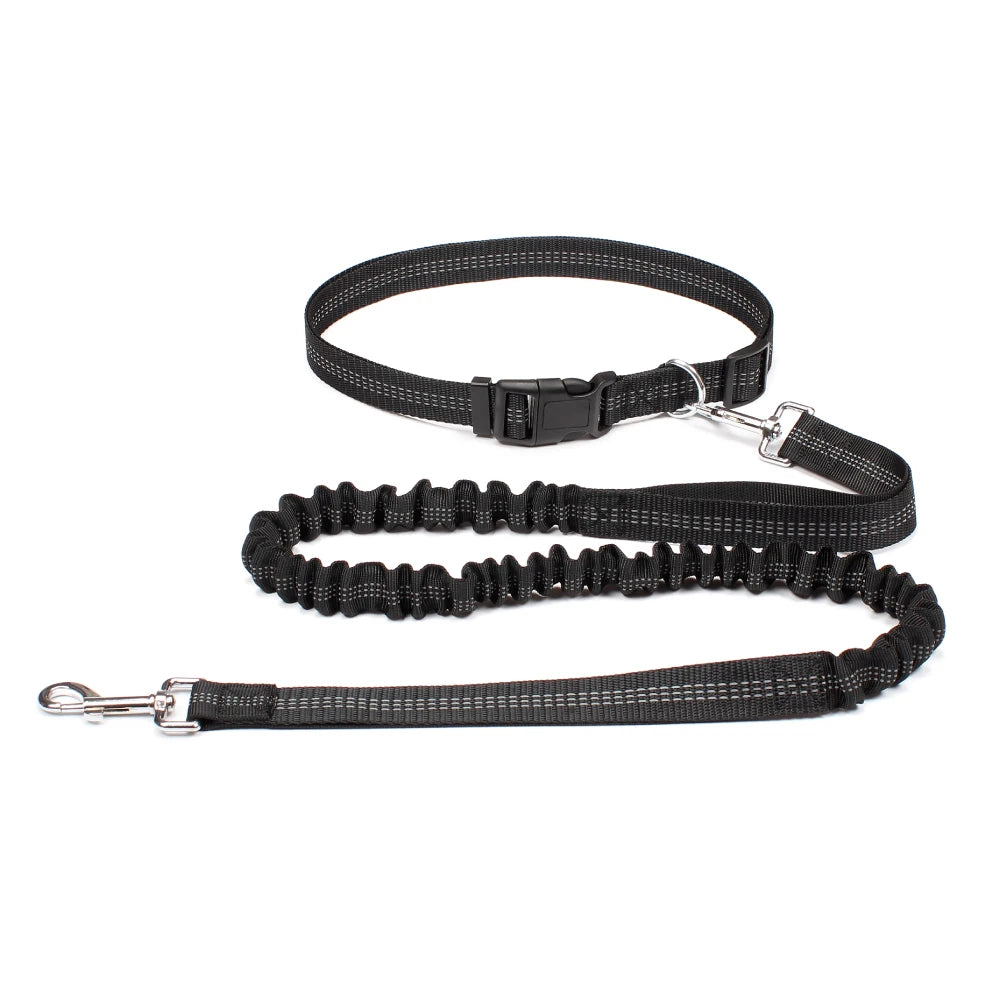 Hands-Free Bungee Dog Leash with Adjustable Waist Belt