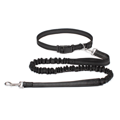 Hands-Free Bungee Dog Leash with Adjustable Waist Belt