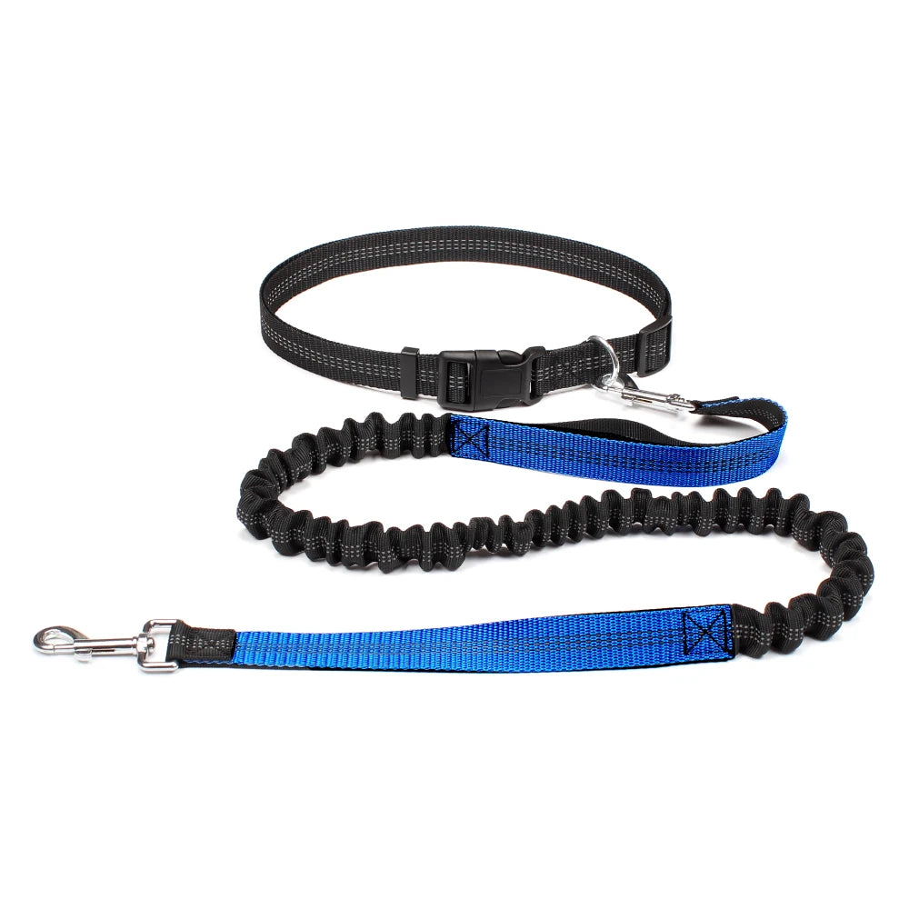 Hands-Free Bungee Dog Leash with Adjustable Waist Belt