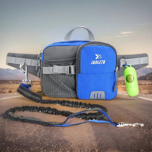 Hands-Free Dog Running Kit with Bungee Lead